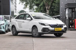 Nissan-Venucia D60 PLUS EV