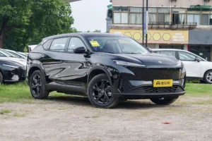 Dongfeng SKY EV01
