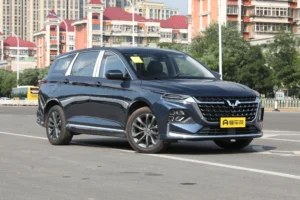 Wuling Victory