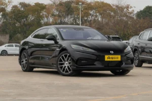 Denza Z9