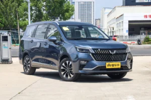 Wuling Jiachenc